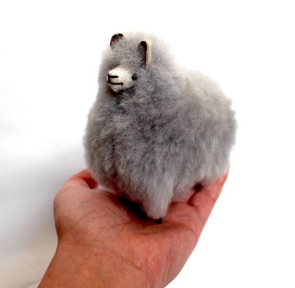 画像2: 100％アルパカ(アルパカグレイS)送料込み (2)