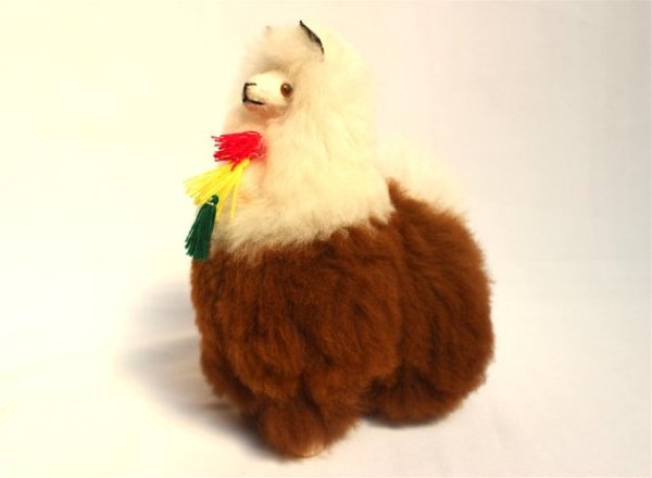 画像6: 100％アルパカ(アルパカブラウンLL)送料込み (6)