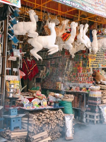 画像6: イケメン エケコ（送料込み）18cm (6)