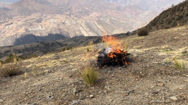 画像7: 限定10体！選べる帽子 儀式したて金歯エケコ（送料込み）18cm (7)