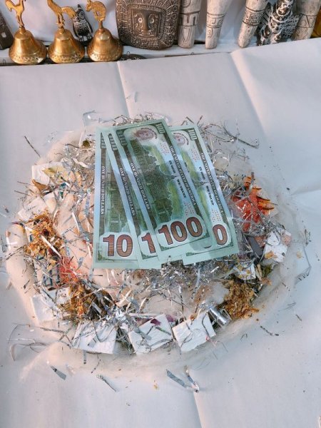 画像7: イケメン エケコ（送料込み）18cm (7)