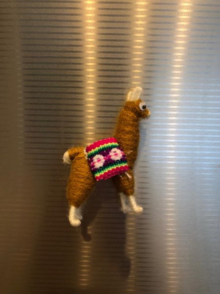 画像6: 手作り　リャマのマグネット（送料無料） (6)