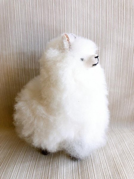 画像5: ぬいぐるみ 100％アルパカ リアルM 送料込み (5)