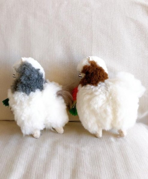 画像6: モコモコ100％アルパカぬいぐるみLL(茶、グレイ)送料込み (6)