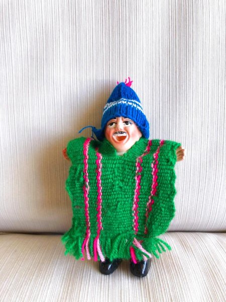 画像7: エケコ用ポンチョ (14-20ｃｍ用)　送料無料 (7)