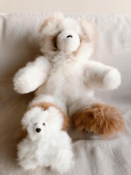 画像5: 小さいアルパカぬいぐるみ くま ベビーアルパカ ふわふわ 高品質リアル   (5)