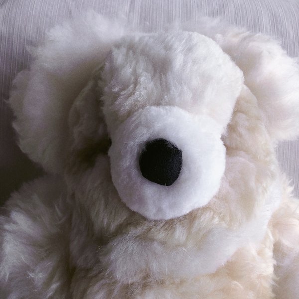 画像2: 大きいくまのぬいぐるみ  ベビーアルパカ毛 リアル 圧巻55ｃｍ！（ホワイトとベージュのコンビネーション）送料無料 (2)