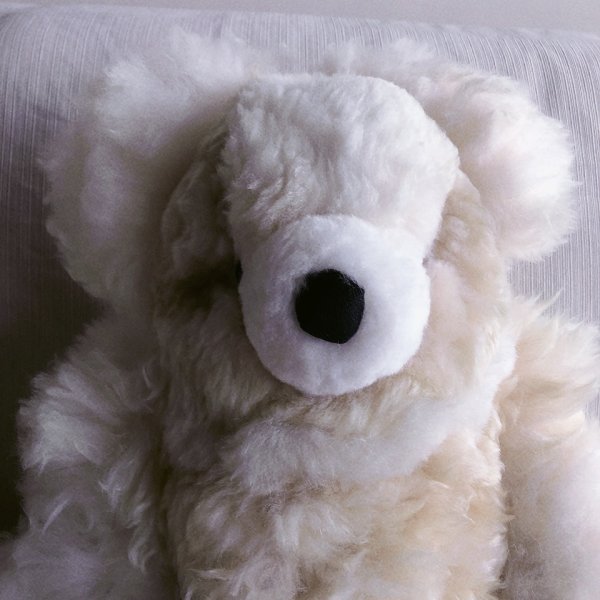 画像7: 大きいくまのぬいぐるみ  ベビーアルパカ毛 リアル 圧巻55ｃｍ！（ホワイトとベージュのコンビネーション）送料無料 (7)