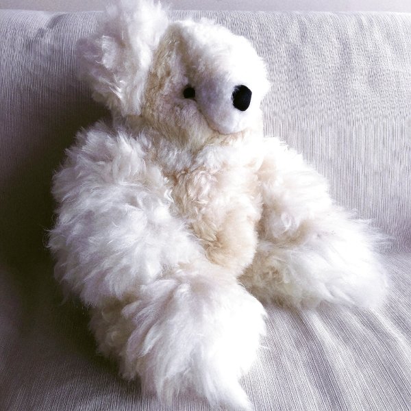 画像3: 大きいくまのぬいぐるみ  ベビーアルパカ毛 リアル 圧巻55ｃｍ！（ホワイトとベージュのコンビネーション）送料無料 (3)
