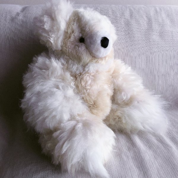 画像4: 大きいくまのぬいぐるみ  ベビーアルパカ毛 リアル 圧巻55ｃｍ！（ホワイトとベージュのコンビネーション）送料無料 (4)