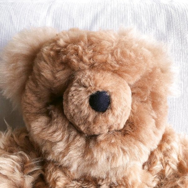 画像4: 大きいくまのぬいぐるみ  ベビーアルパカ毛 リアル 圧巻55ｃｍ！（茶色一色）送料無料 (4)