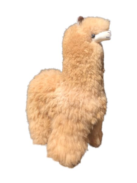 画像3: 大型 ベビーアルパカ毛100％　高級ぬいぐるみ(43cm)送料無料 (3)