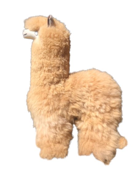 画像2: 大型 ベビーアルパカ毛100％　高級ぬいぐるみ(43cm)送料無料 (2)