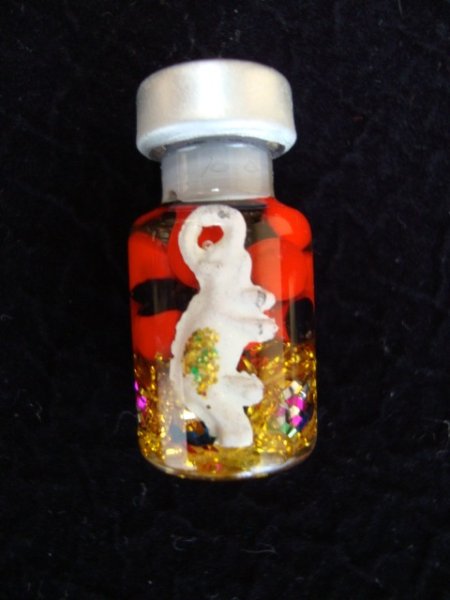 画像1: お守り瓶　ワイルーロ＆白象 (1)