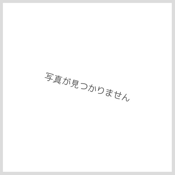画像1: 三菱モンテーロミニチュア (1)